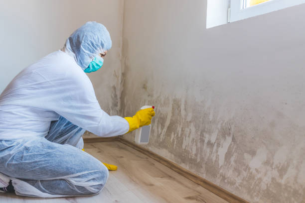 Crawl Space Mold Remediation treatment of floor joists in Brentwood