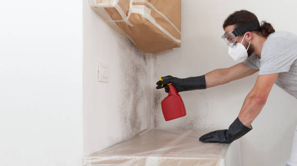 Attic Mold Remediation treatment on roof deck in Brentwood