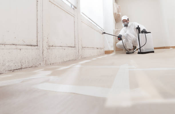 Post-remediation clearance in Brentwood
